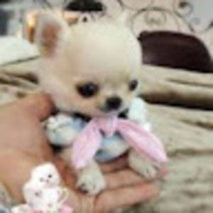 Meet your Posher, Leanna